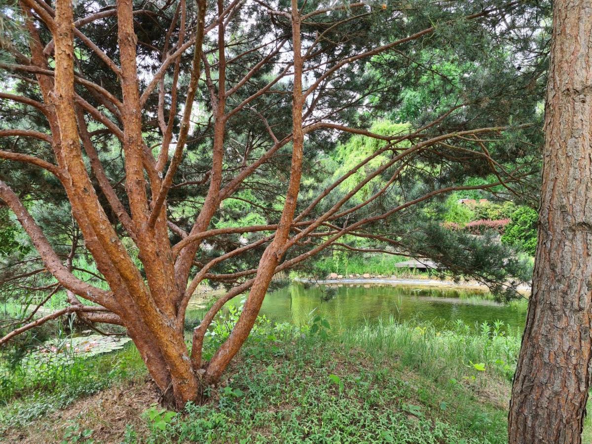 Ferienwohnungen Margaretenhof, Plaue Margarethenhof Buitenkant foto